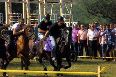 Коњичке трке Билећа 2015: Домаћа грла претплаћена на друго место