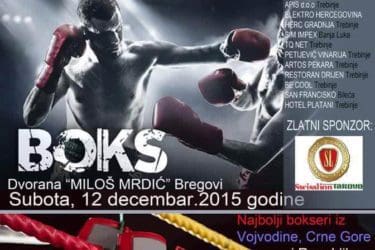 ЈУБИЛЕЈ ЛЕОТАРА: Боксерски турнир Требиње 2015