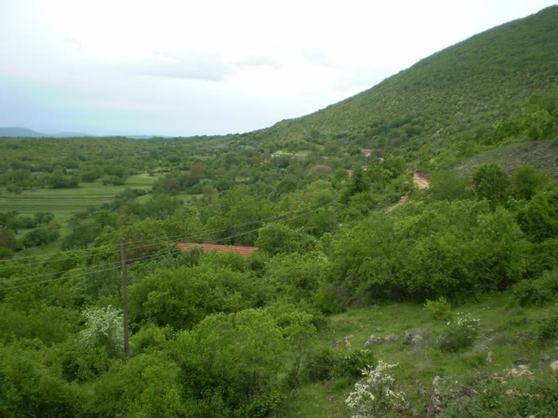 Пут жртава кроз село Капавицу
