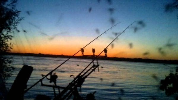 pecanje