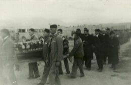 Sokoli na sahrani