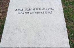 липовичка шума